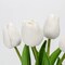 2 Packs Faux Flowers Artificial Tulips with Ceramic Vase, Poly Foam White Tulips Real Touch Flower Arrangement for Home Kitchen Wedding Centerpiece Decoration